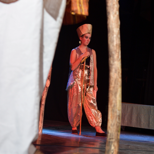 Véronika Lecapitaine