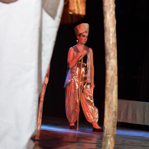 Véronika Lecapitaine